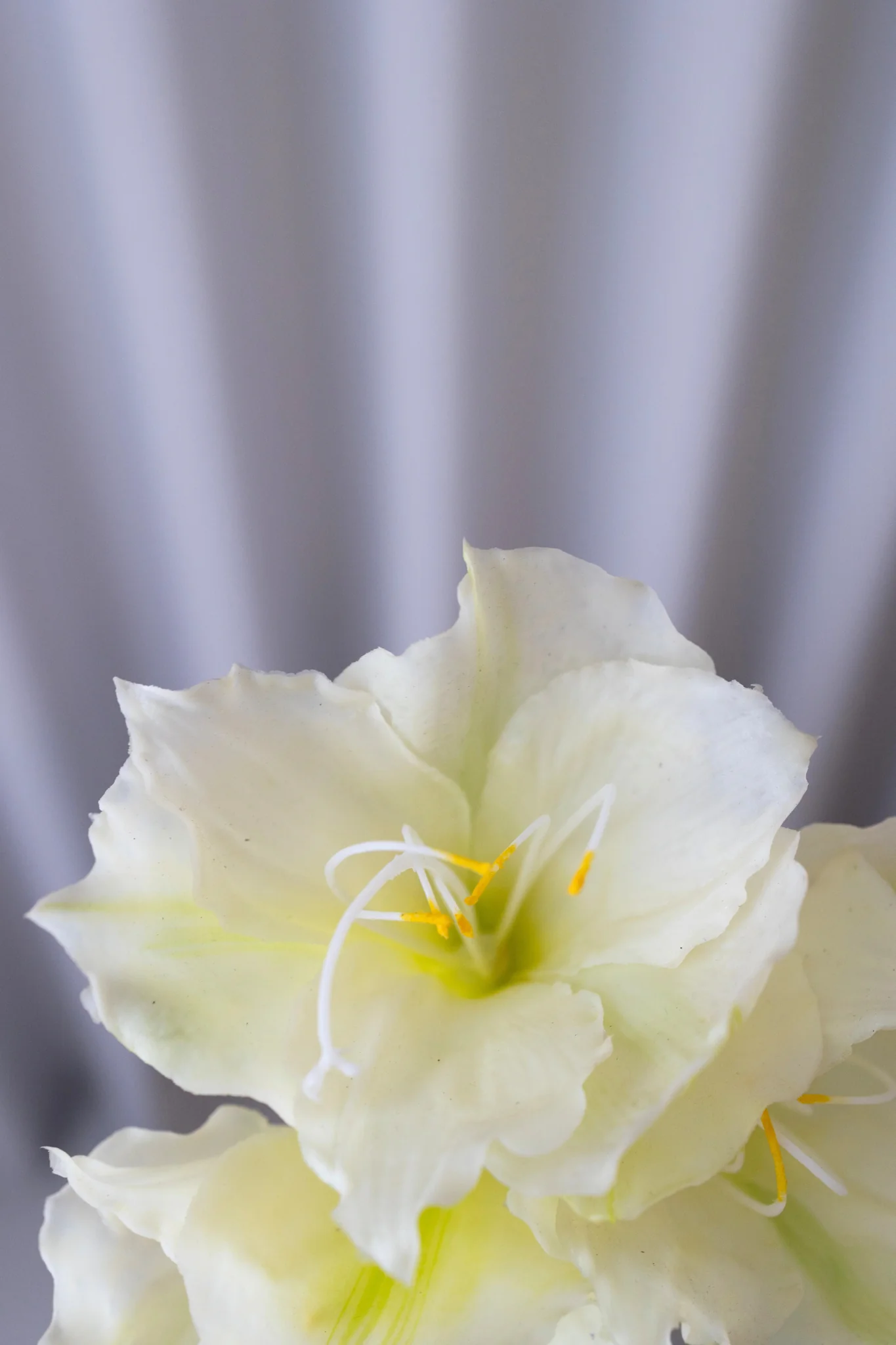 Kunstig amaryllis - hvid - Image 4