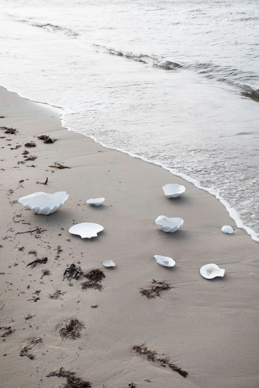 Shell tallerken, S - hvid - Image 4