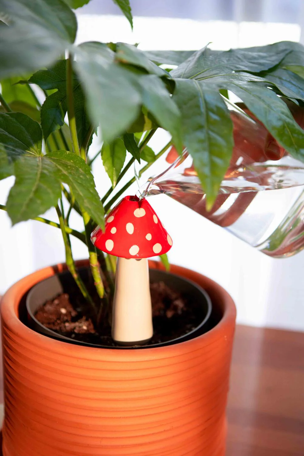 Amanita plantevander - rød - Image 3