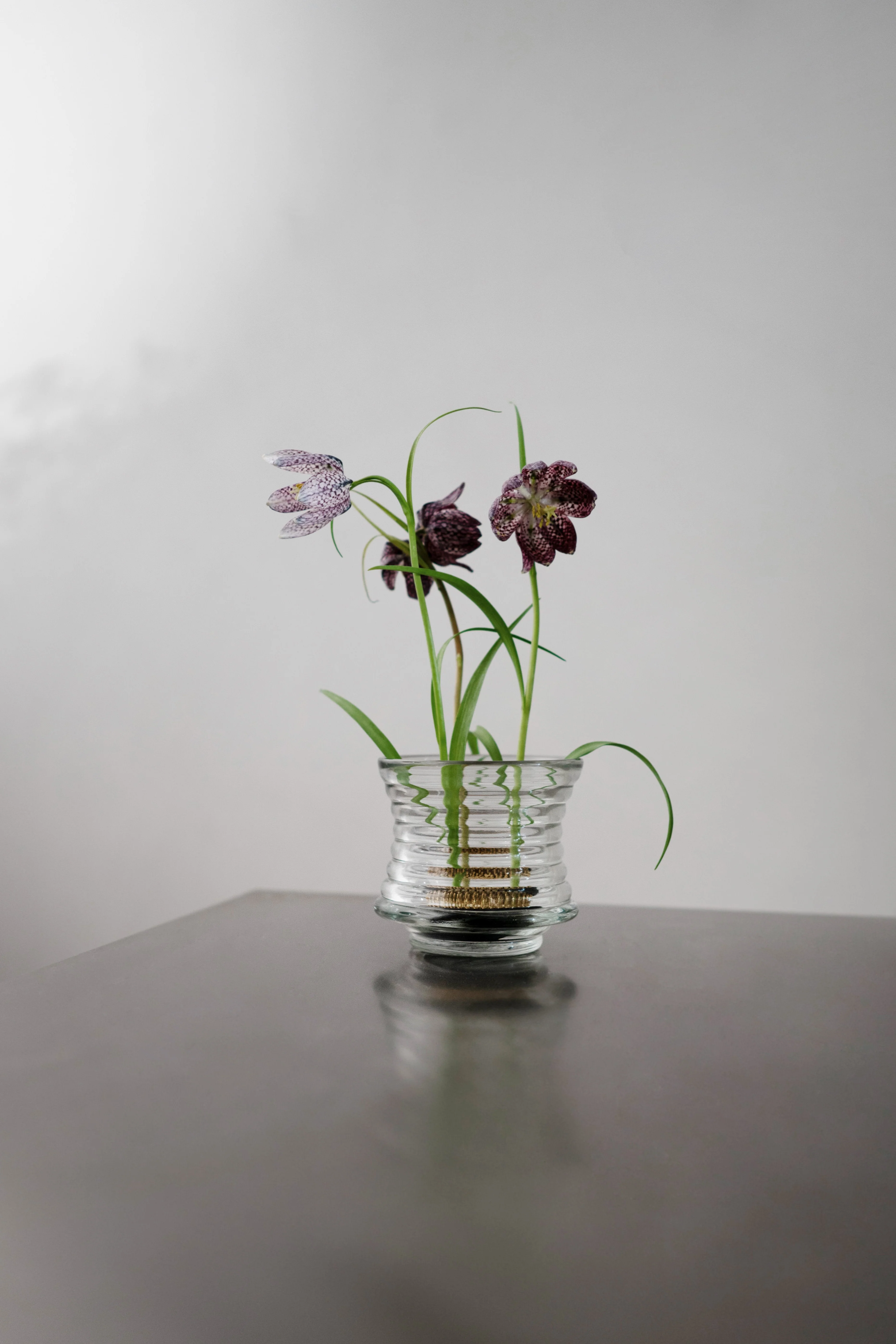 Kenzan blomsterholder - 60 mm. - Image 2