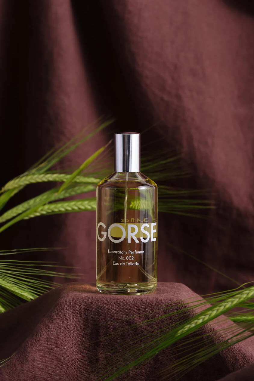 GORSE 002 parfume - 100 ml - Image 2