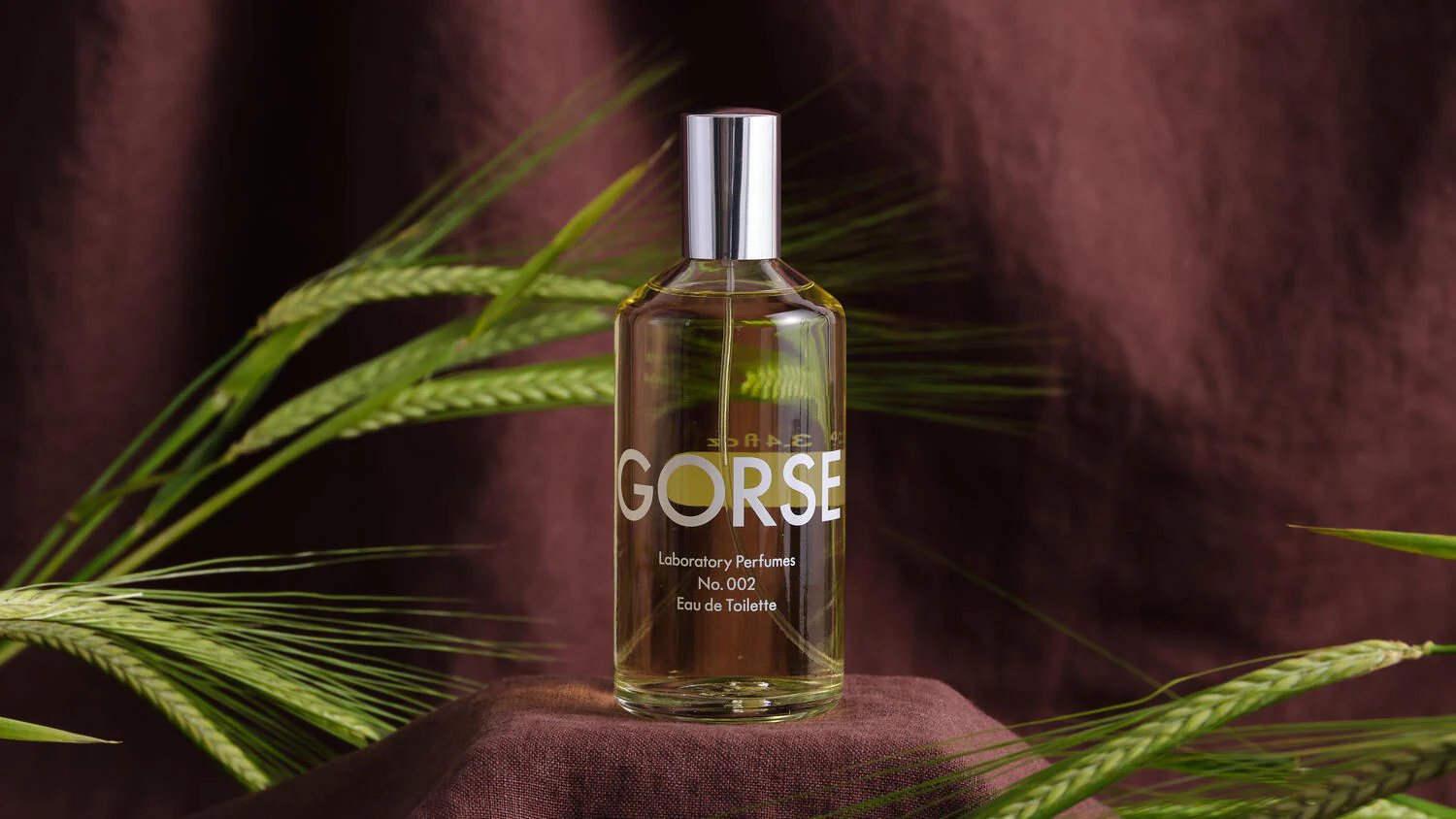 GORSE 002 parfume - 100 ml - Image 7