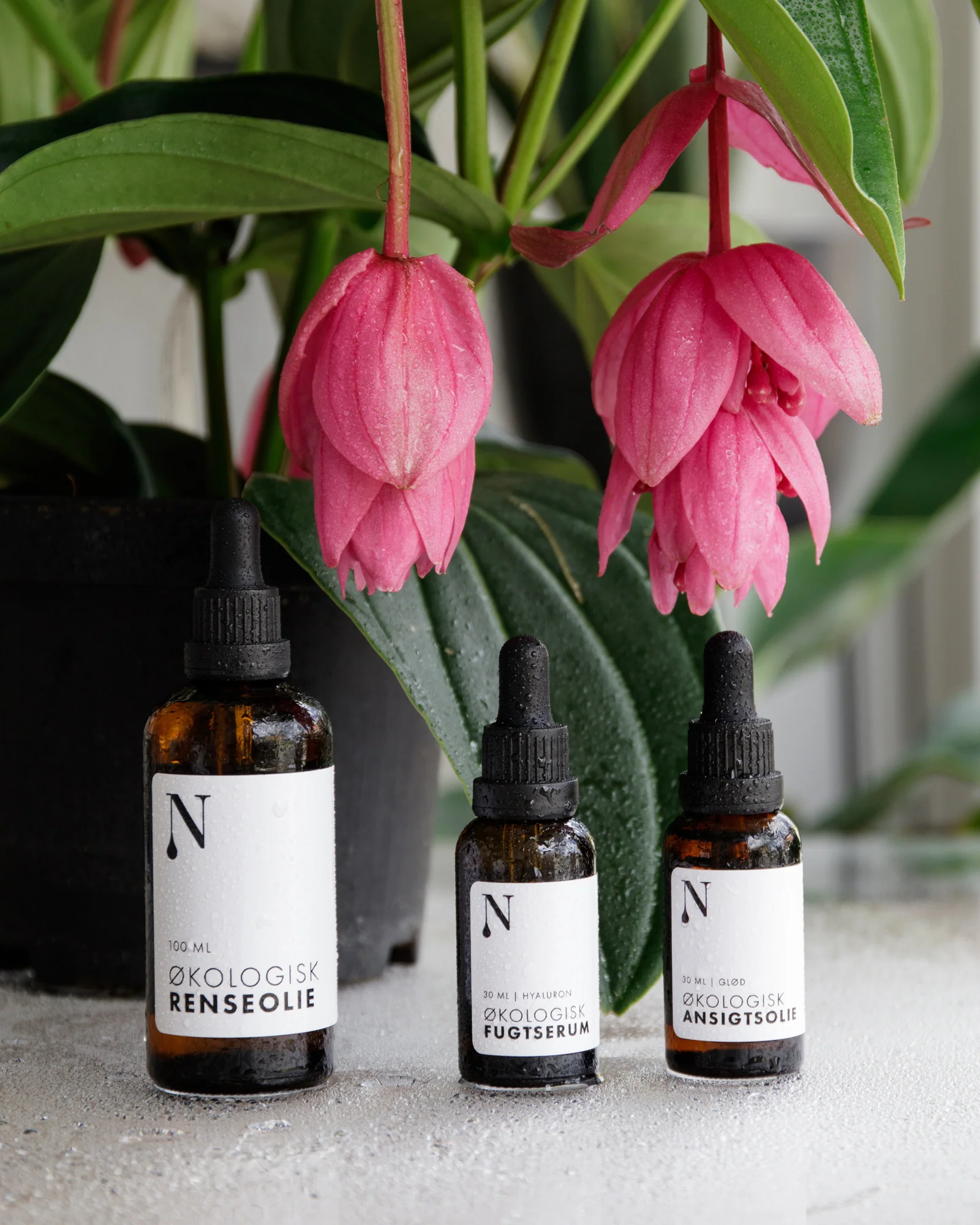 Økologisk fugtserum/hyaluronsyre - 30 ml. - Image 4