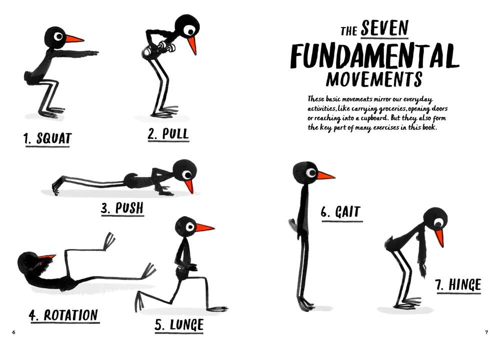 How to be a Fit Bird bog - Image 3