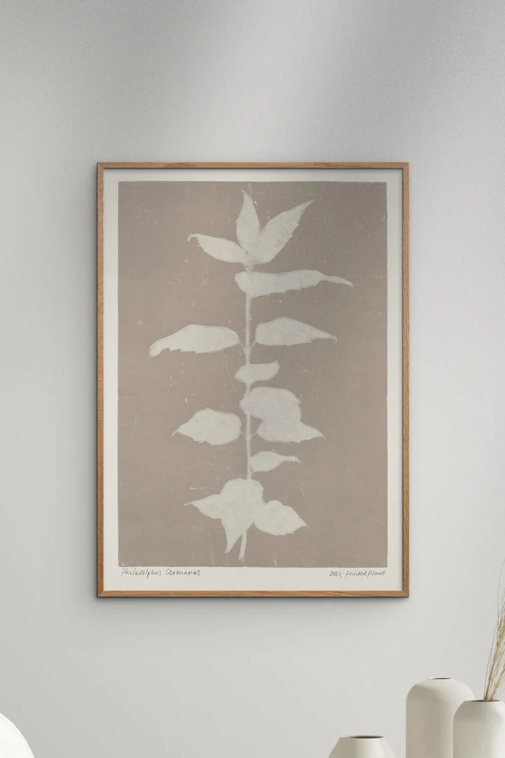 PSTR Studio Philadelphus Coronarius plakat - Image 2