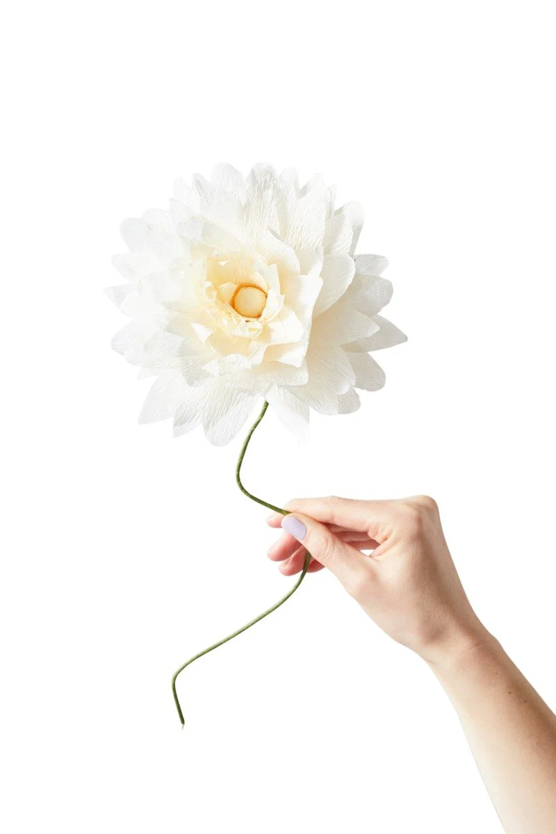 Grand Dahlia papirblomst - sand